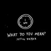 Justin Bieber What Do You Mean One More Day Right