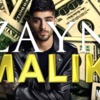 Zayn Maliks Real Net Worth